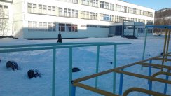 Площадка для воркаута в городе Мурманск №2052 Средняя Советская фото